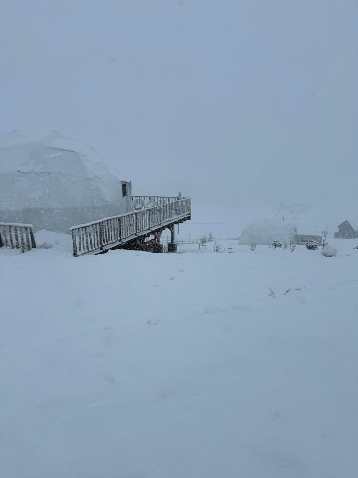 Dorna Iglu Luxury Glamping Resort Dorna Cindrenilor Экстерьер фото